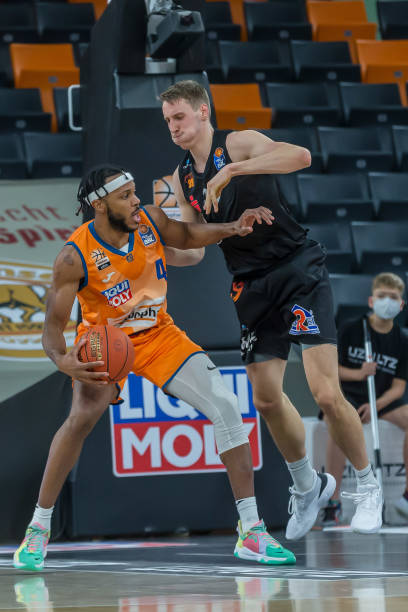 在他们的布 在他们的布